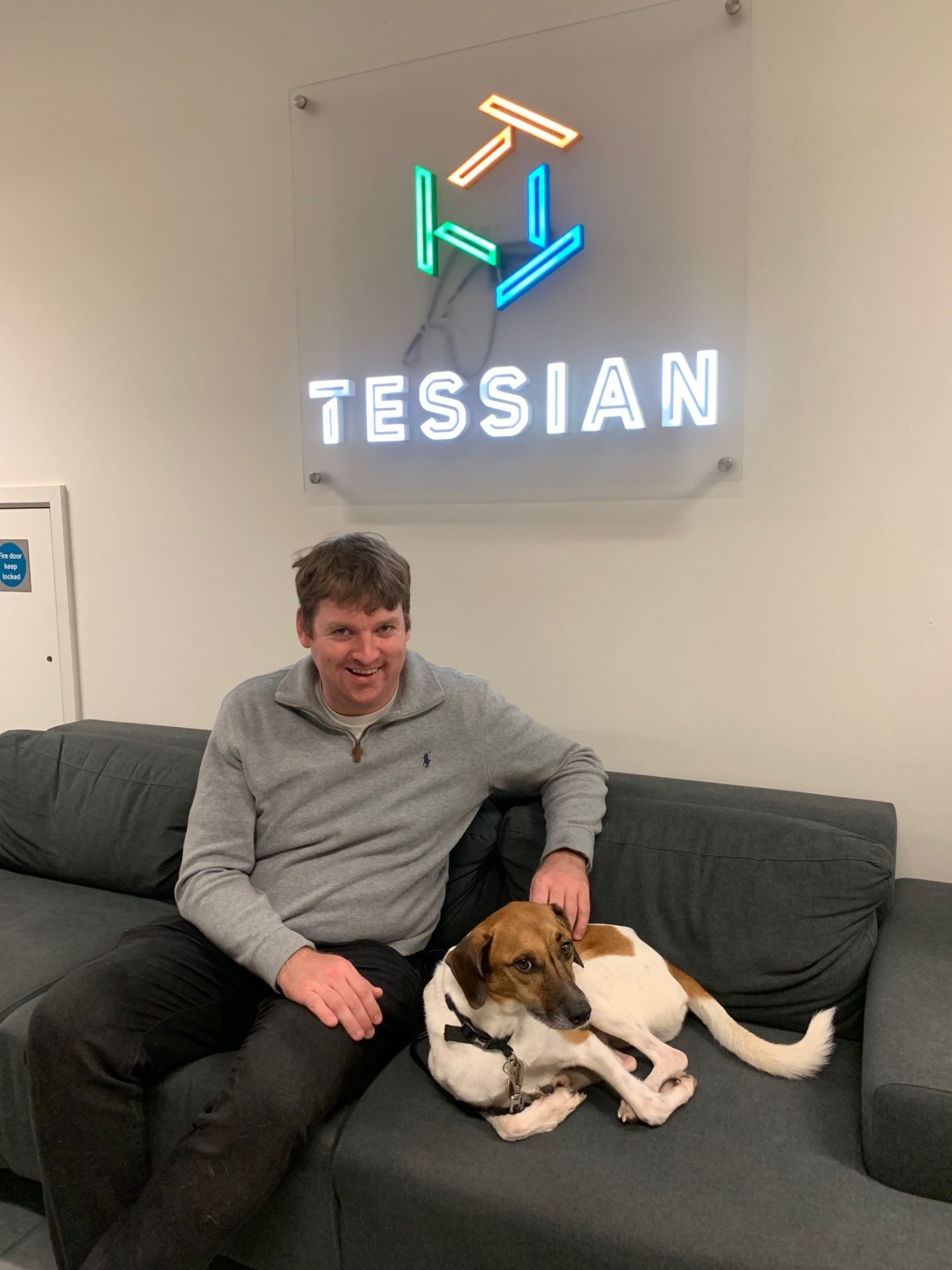 Fig the dog in our office - 200 reasons to love Tessian